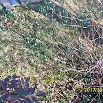公寓 Molnarporta Szentgyorgyvolgy