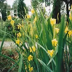 Molnarporta Szentgyorgyvolgy