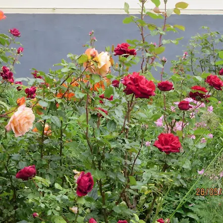 アパート Molnarporta Szentgyorgyvolgy