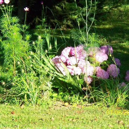 アパート Molnarporta