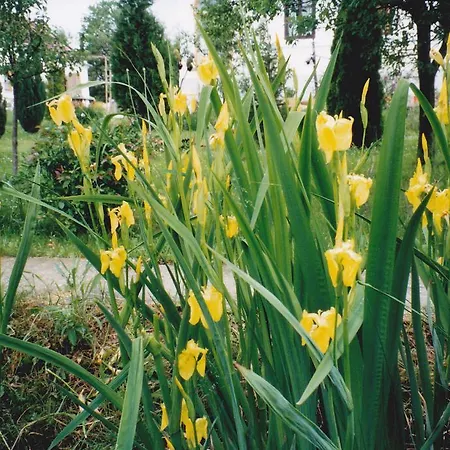 Molnarporta Szentgyorgyvolgy