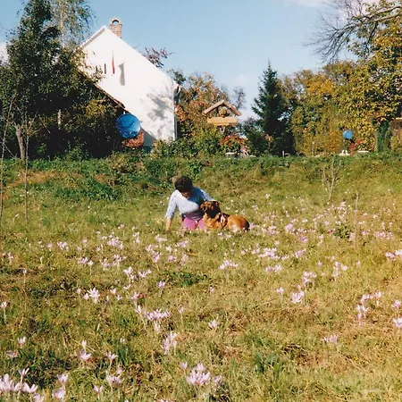 アパート Molnarporta