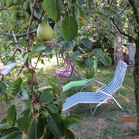 Molnárporta Appartamento Szentgyorgyvolgy