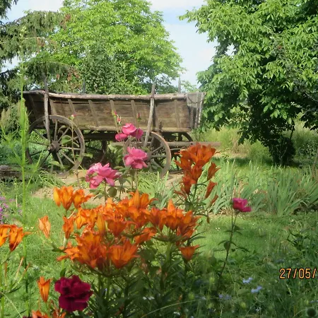 Molnarporta アパート *