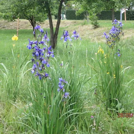 アパート Molnarporta Szentgyorgyvolgy